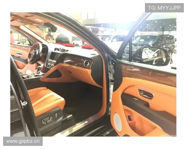 洛伦特技术全面性