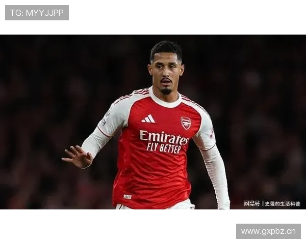 威廉·萨利巴：法国国家队轮换体系中的角色分析